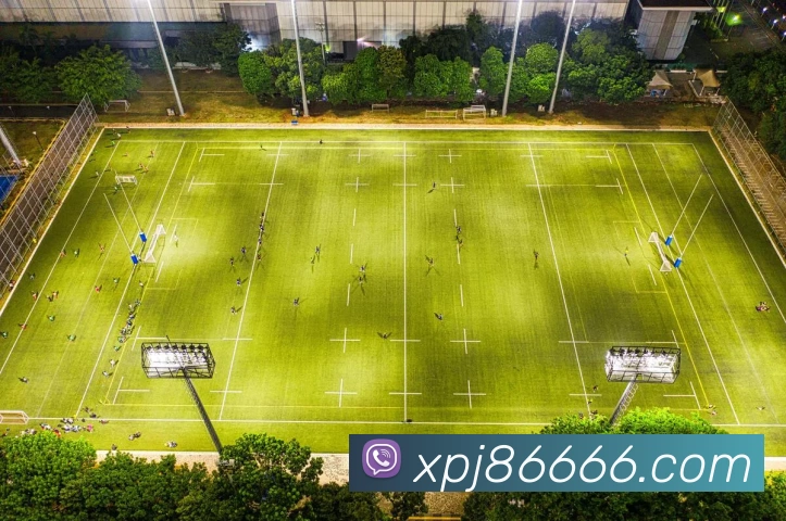 xpj平台生态图